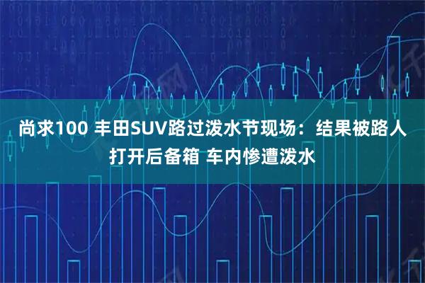 尚求100 丰田SUV路过泼水节现场：结果被路人打开后备箱 车内惨遭泼水